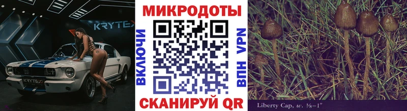 OMG ССЫЛКА  Салехард  Галлюциногенные грибы мухоморы 